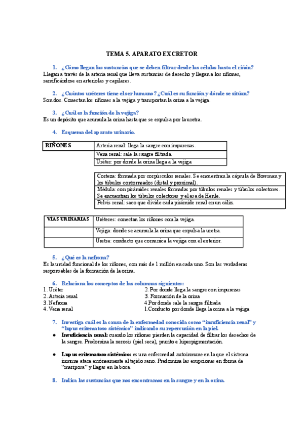 Miniatura del documento APARATO-EXCRETOR-Y-RESPIRATORIO-PROCESOS.docx.pdf