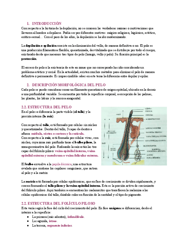 Miniatura del documento TEMA-2.-El-pelo.pdf