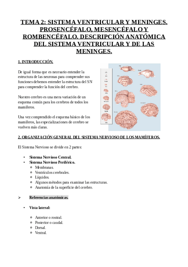 Miniatura del documento TEMA-2-NEUROANATOMIA.pdf