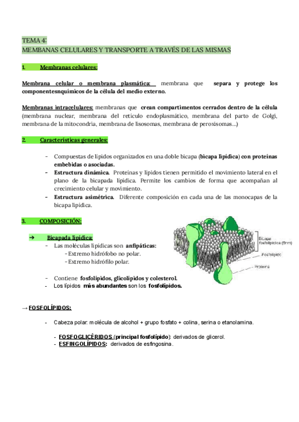 Miniatura del documento Tema-4-bio-membranas-celulares.pdf