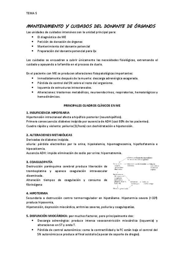 Miniatura del documento 5.-MANTENIMIENTO-Y-CUIDADOS-DEL-DONANTE-DE-ORGANOS-1.pdf