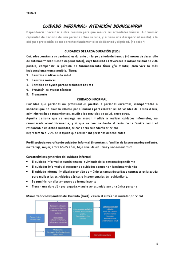 Miniatura del documento 8.-CUIDADO-INFORMAL.pdf