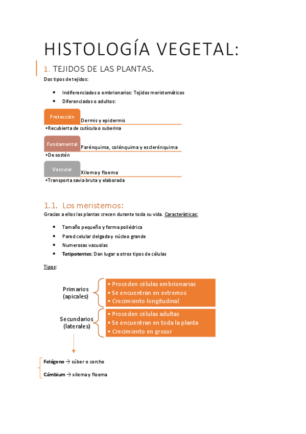 Miniatura del documento Tema-9-y-12.-Histologia-vegetal-y-nutricion-de-las-plantas.pdf