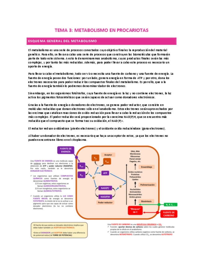 Miniatura del documento TEMA-3-METABOLISMO-MICROBIANO.pdf