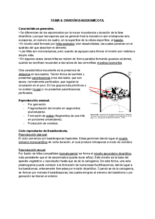 Miniatura del documento TEMA-9-BOTANICA.pdf