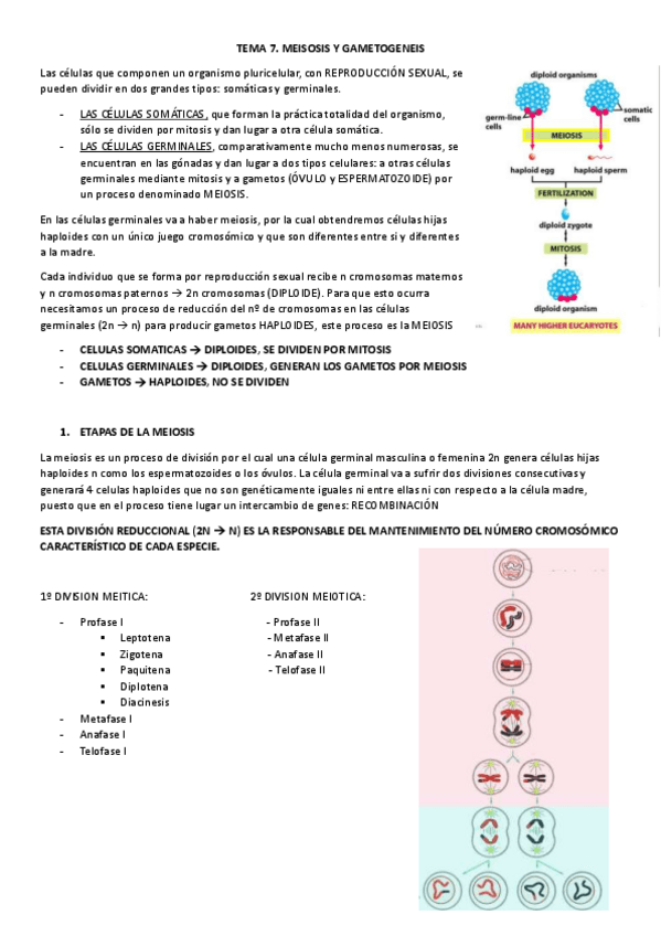 Miniatura del documento TEMA-7-PROCESOS-III.pdf