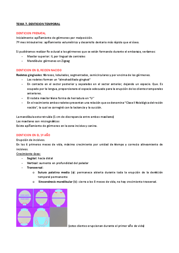 Miniatura del documento TEMA-7.pdf