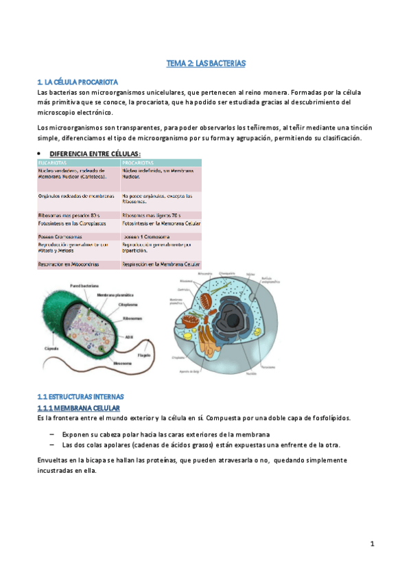 Miniatura del documento TEMA-2A-APUNTES-MICRO.pdf