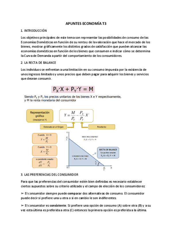 Miniatura del documento APUNTES-ECONOMIA-T3.pdf