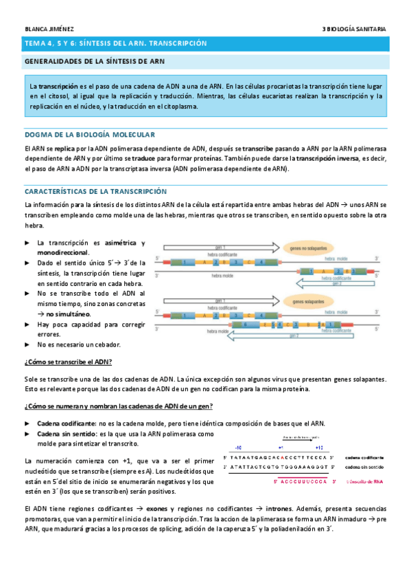 Miniatura del documento TEMA-4-5-Y-6-SINTESIS-DEL-ARN.pdf