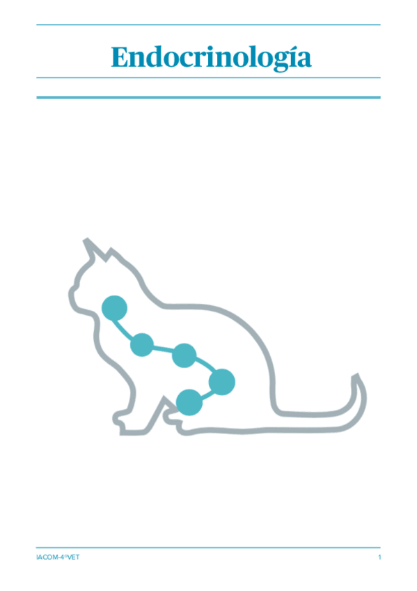 Miniatura del documento Endocrinologia-2324.pdf