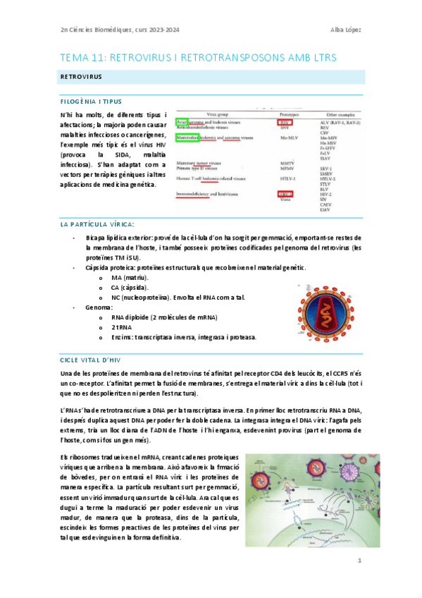 Miniatura del documento Tema-11.-Transposicio-II.pdf