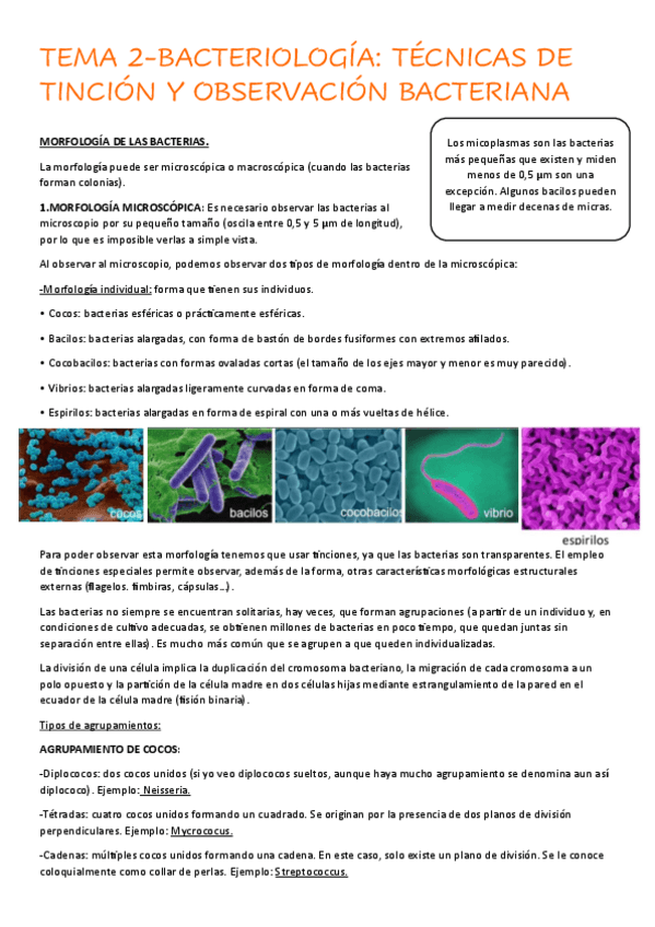 Miniatura del documento TEMA-2.pdf