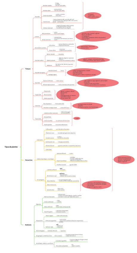 Miniatura del documento Esquema-amb-info.pdf