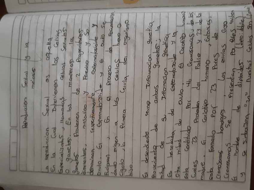 Miniatura del documento Imagen-de-WhatsApp-2023-10-30-a-las-15.50.165ed51f03.jpg