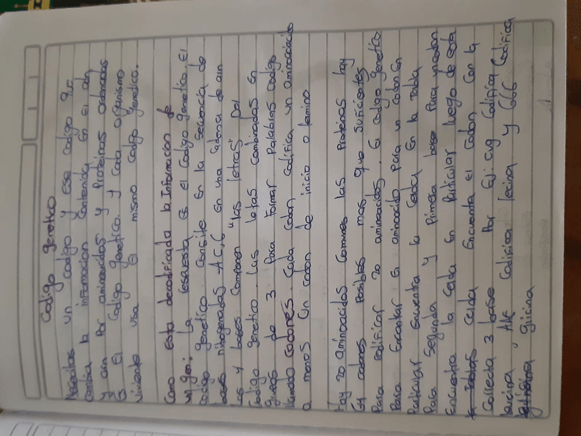 Miniatura del documento Imagen-de-WhatsApp-2023-10-30-a-las-15.50.16d645ad8f.jpg