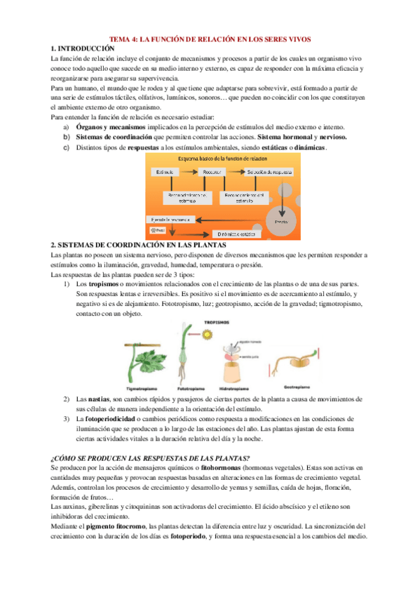 Miniatura del documento Tema-4.docx