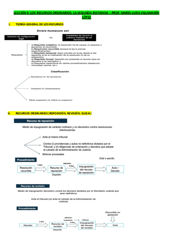 Miniatura del documento LECCION-9.-LOS-RECURSOS-ORDINARIOS.-LA-SEGUNDA-INSTANCIA.pdf