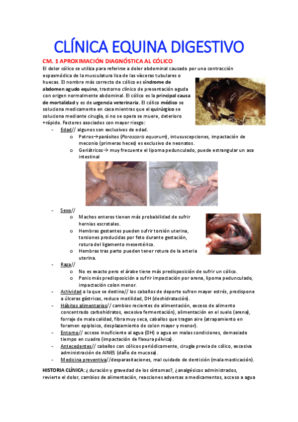Miniatura del documento CLINICA-EQUINA-DIGESTIVO.pdf