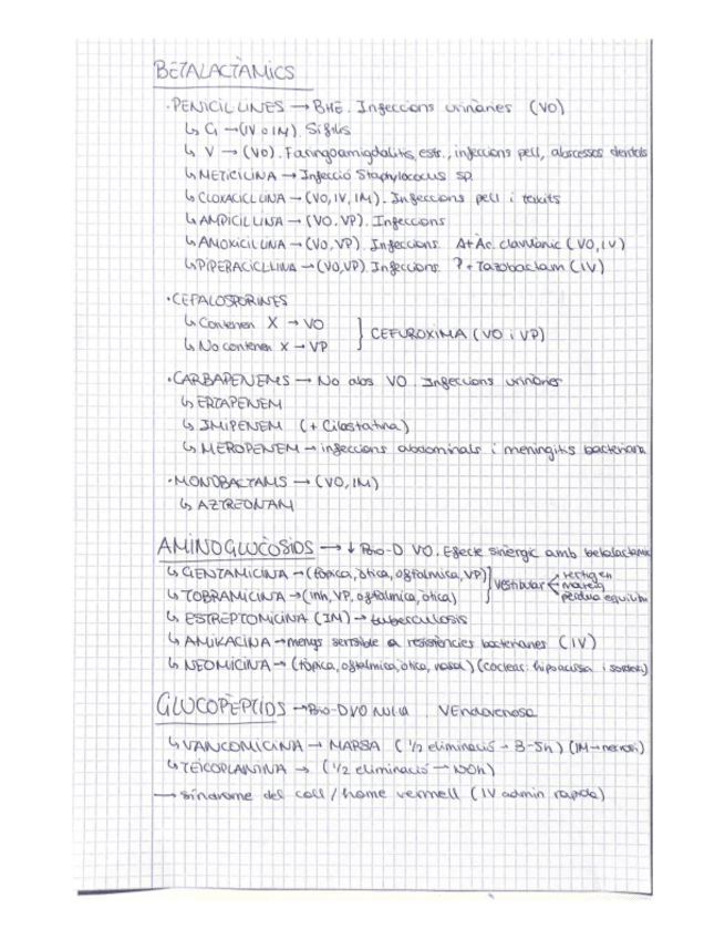 Miniatura del documento antibiotics-esquema.pdf
