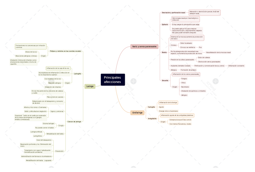 Miniatura del documento Fisiopatologia.-Esquema-Tema-6.-Sistema-Respiratorio-Superior.pdf