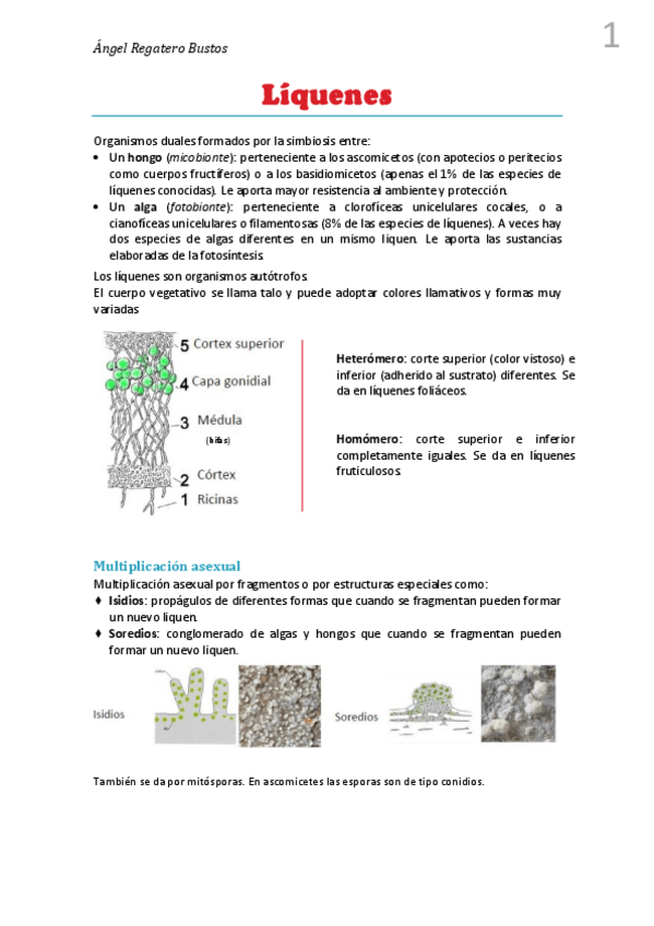 Miniatura del documento 14.Resumen Líquenes.pdf