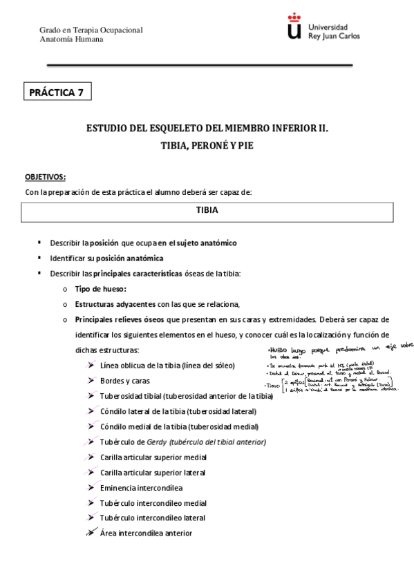 Miniatura del documento Practica-7-Tibia-perone-y-pie221115130733.pdf