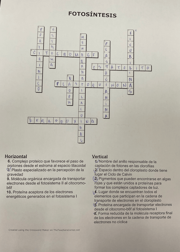 Miniatura del documento Ficha.pdf