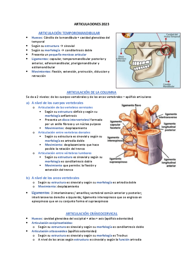 Miniatura del documento 2023-articulaciones.pdf