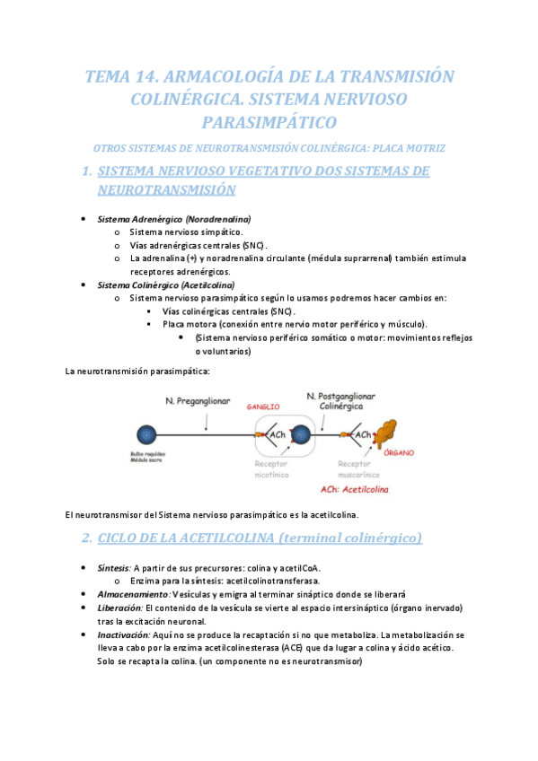 Miniatura del documento TEMA-14.-ARMACOLOGIA-DE-LA-TRANSMISION-COLINERGICA-SISTEMA-NERVIOSO-PARASIMPATICO.pdf