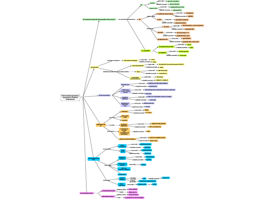 Miniatura del documento Enfermedades-metabolicas.pdf