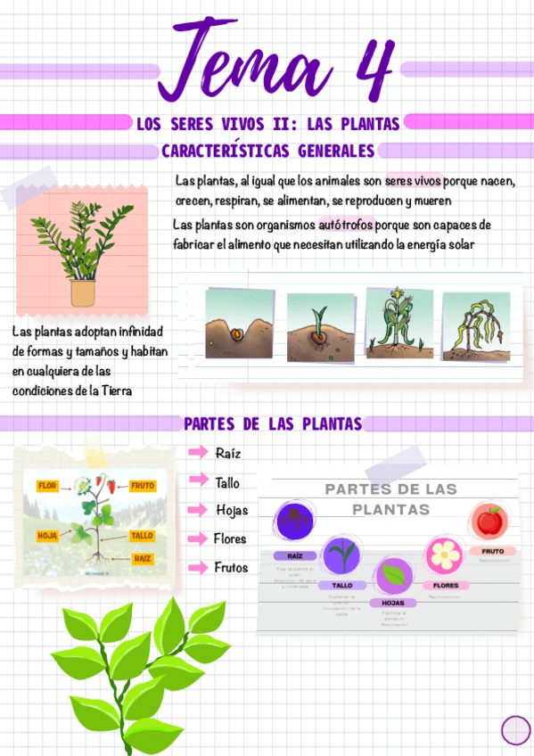 Miniatura del documento Tema-4.pdf