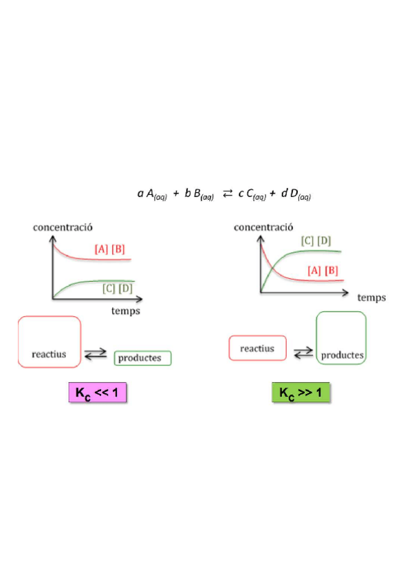 Miniatura del documento Equilibri-quimic.pdf