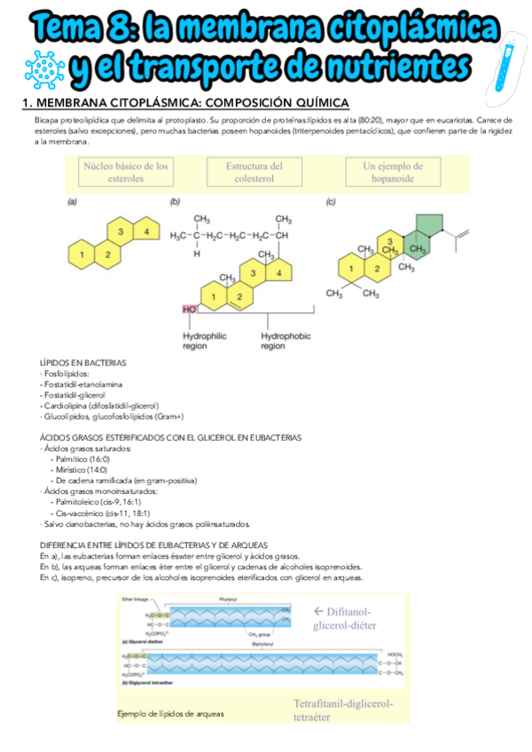 Miniatura del documento TEMA-8.pdf