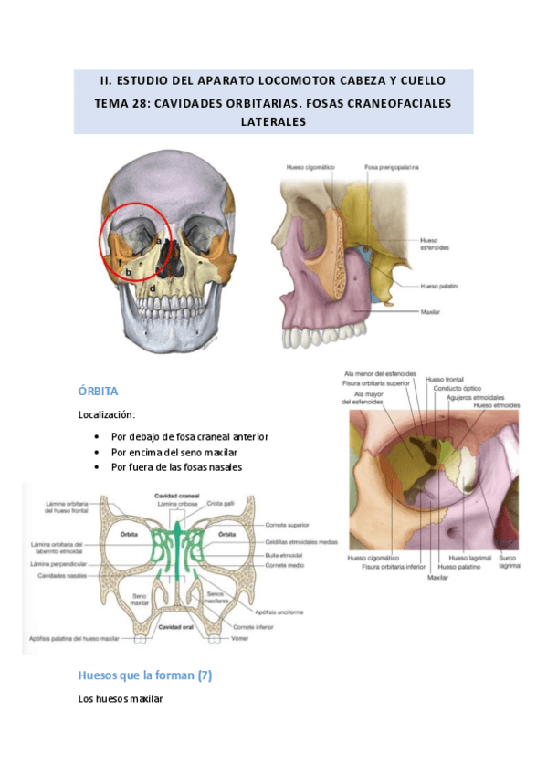 Miniatura del documento TEMA-28.pdf