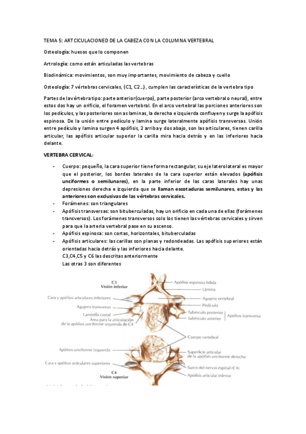 Miniatura del documento anato-1.pdf