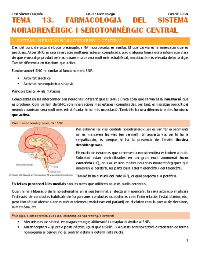 Miniatura del documento Tema-13.-Farmacologia-del-sistema-noradrenergic-i-serotoninergic-central.pdf