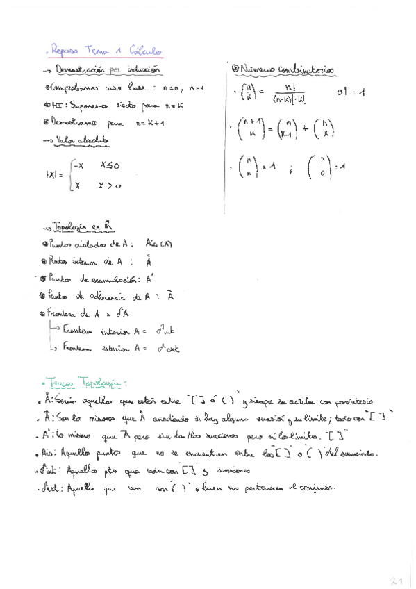 Miniatura del documento Resumen-Topologia-e-Induccion.pdf
