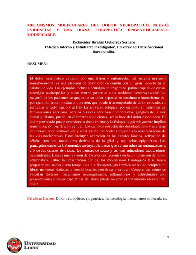 Miniatura del documento MECANISMOS-MOLECULARES-DEL-DOLOR-NEUROPATICO-NUEVAS-EVIDENCIAS-Y-UNA-DIANA-TERAPEUTICA-EPIGENETICAMENTE-MODIFICABLE..pdf