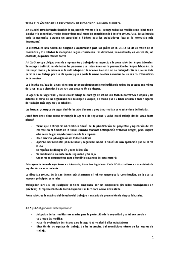 Miniatura del documento TEMA-2-EL-AMBITO-DE-LA-PREVENCION-DE-RIESGOS-DE-LA-UNION-EUROPEA.pdf