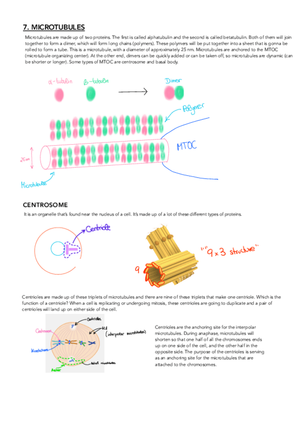 Miniatura del documento CHAPTERS-7-9.pdf