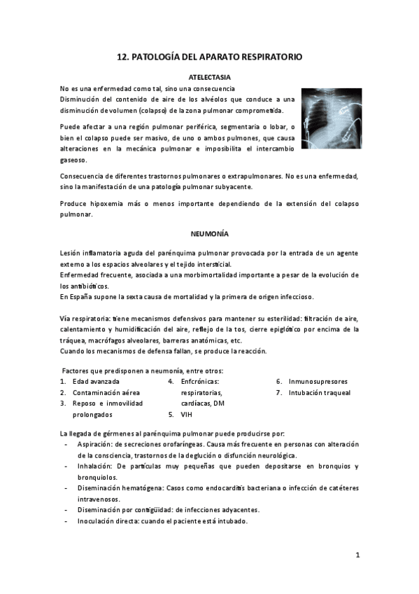 Miniatura del documento 12.pdf