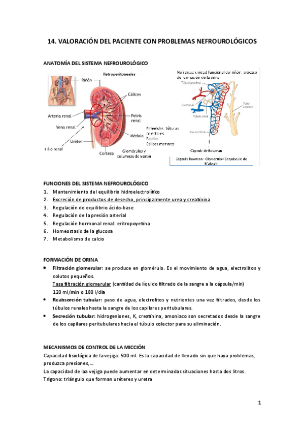 Miniatura del documento 14.-VALORACION-DEL-PACIENTE-CON-PROBLEMAS-NEFROUROLOGICOS.pdf