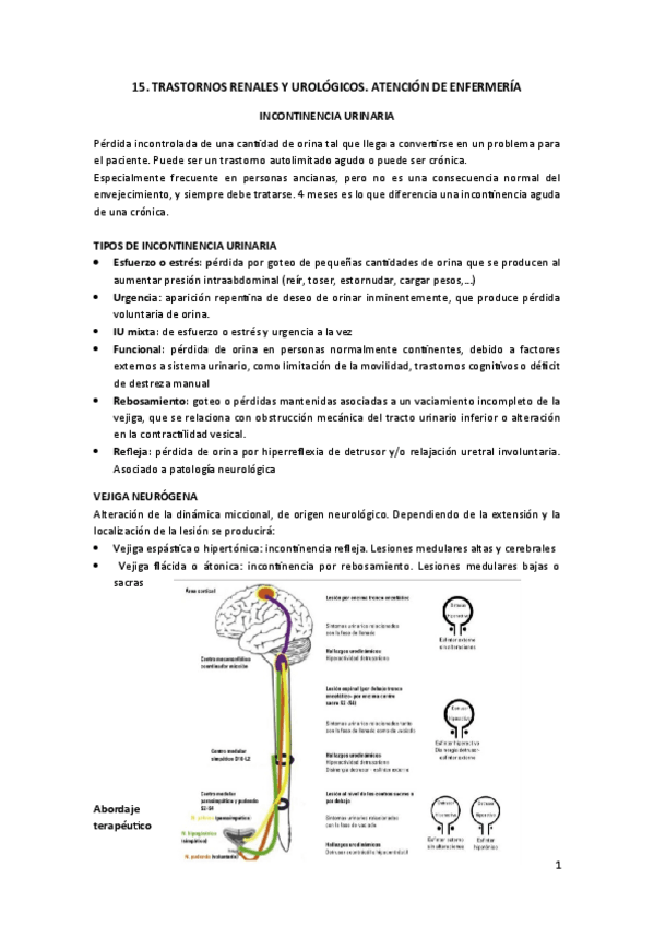 Miniatura del documento 15.pdf