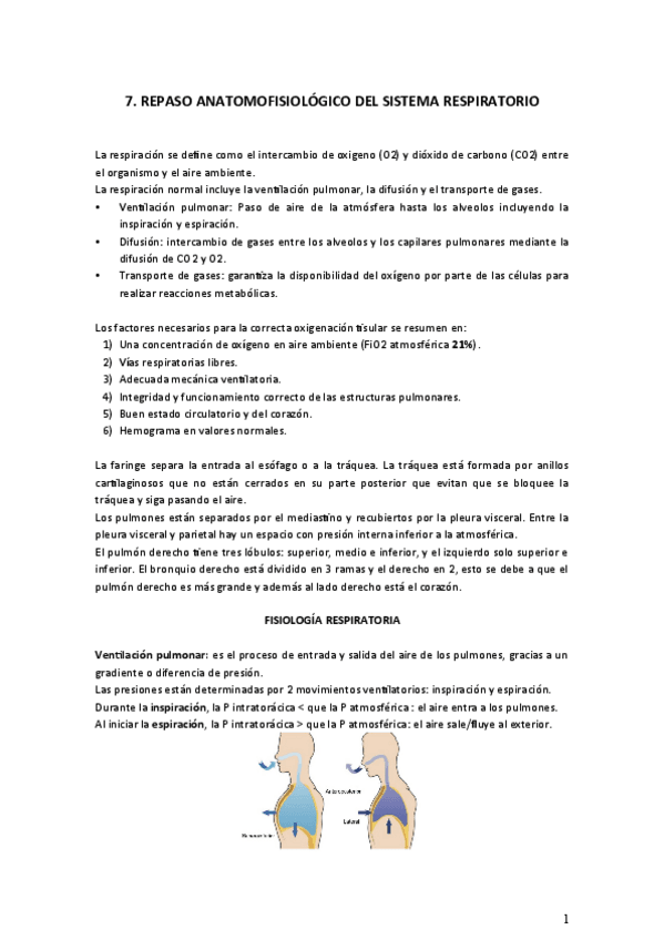 Miniatura del documento 7.pdf