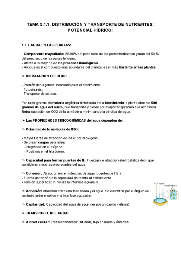 Miniatura del documento TEMA-3.1.1.-DISTRIBUCION-Y-TRANSPORTE-DE-NUTRIENTES-POTENCIAL-HIDRICO.pdf