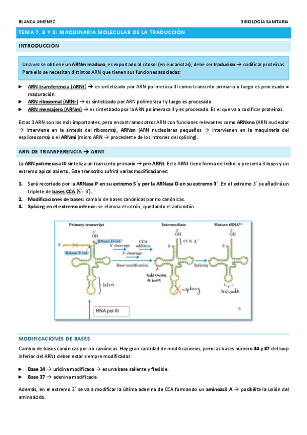 Miniatura del documento TEMA-7-8-Y-9-MAQUINARIA-MOLECULAR-DE-LA-TRADUCCION.pdf