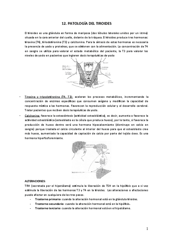 Miniatura del documento TEMA-12-tiroides.pdf