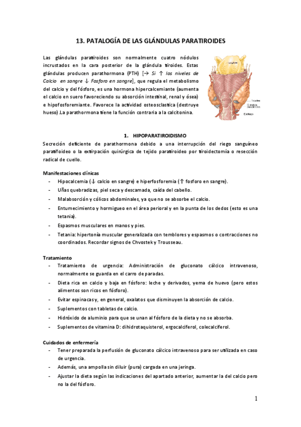 Miniatura del documento TEMA-13-Patologia-paratiroides.pdf