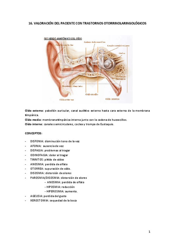 Miniatura del documento Tema-16.-Valoracion-del-paciente-con-trastornos-otorrinolaringologicos.pdf